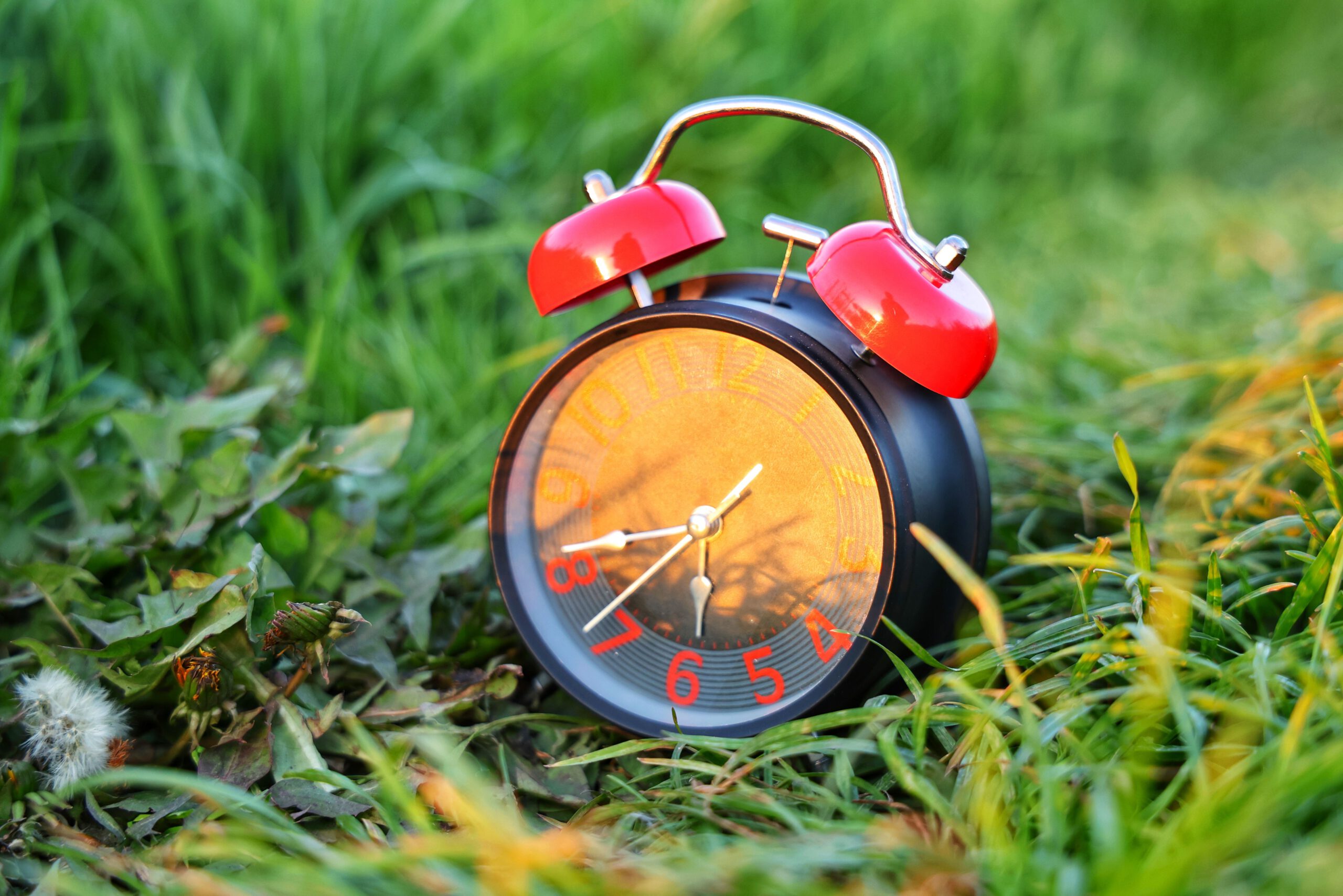 What Ordinary Routines Reveal About Changing Times?